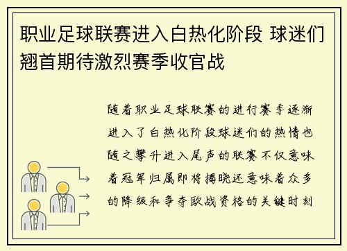职业足球联赛进入白热化阶段 球迷们翘首期待激烈赛季收官战